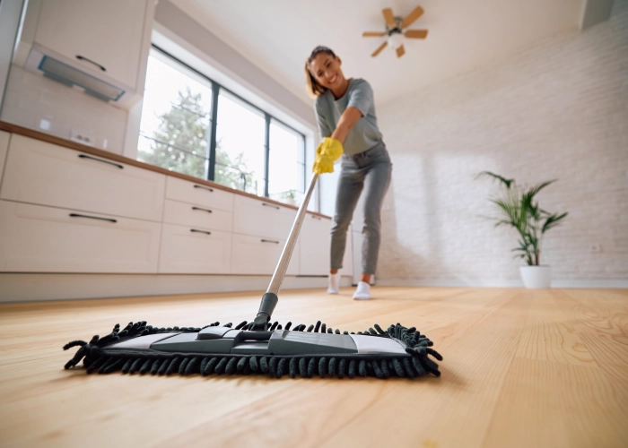 Reinigung der Gemeinschaftsbereiche von Gebäuden in Le Grand-Saconnex 1218