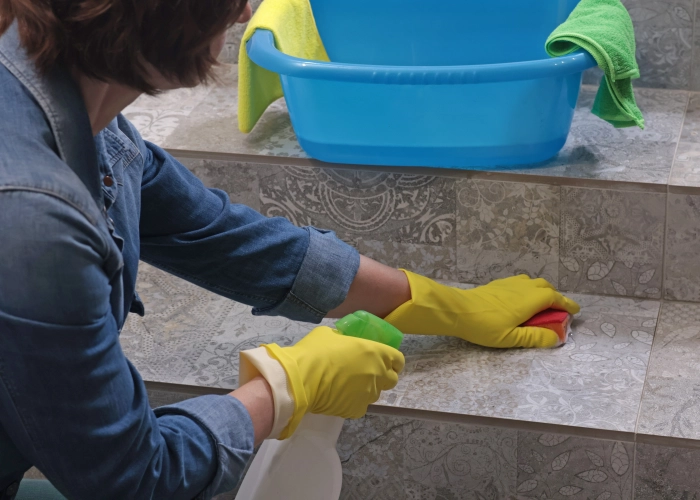 Reinigung der Gemeinschaftsbereiche von Gebäuden in Nyon 1260