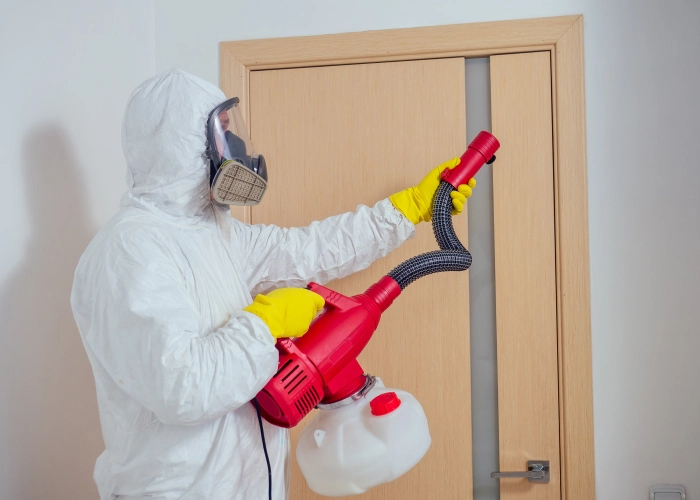 Behandlung von Bettwanzen in Schlieren 8952