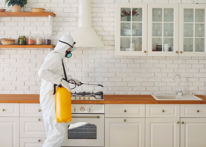 Behandlung von Bettwanzen in Gland 1196