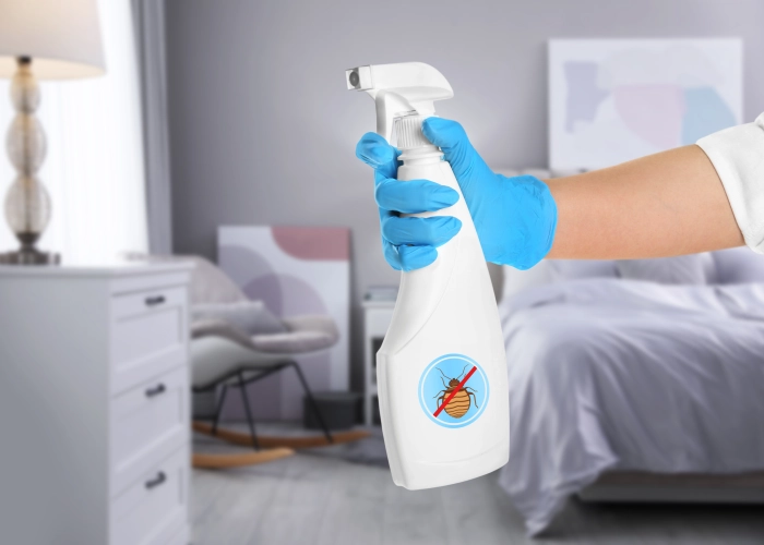 Behandlung von Bettwanzen in Küssnacht 8127