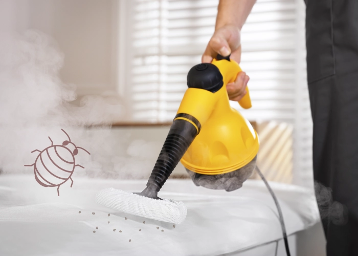 Behandlung von Bettwanzen in Nyon 1260